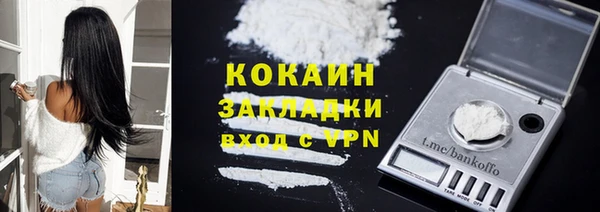 дмт Инсар