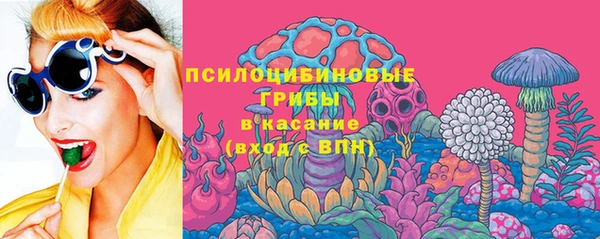 дмт Инсар