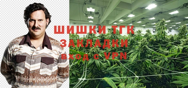 дмт Инсар