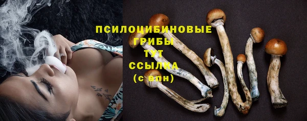 марки nbome Инта