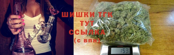 дмт Инсар