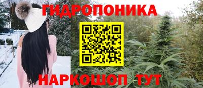 молекула духа Гусев