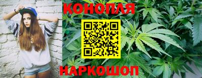 Альфа ПВП Гусиноозёрск
